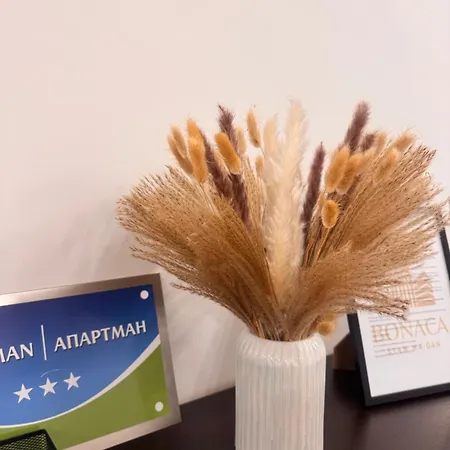 Apartment Bonaca
